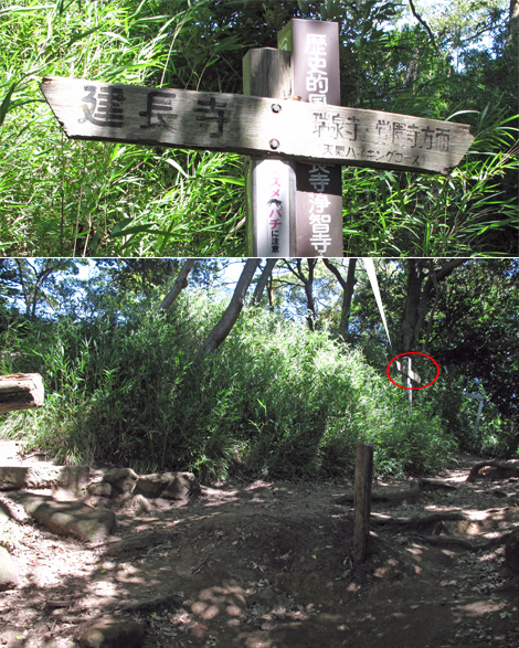 20150715hike (42)